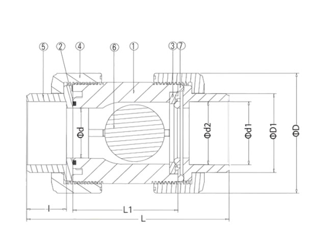 PVDF True Union Ball Check Valve Structure and Principle of Use